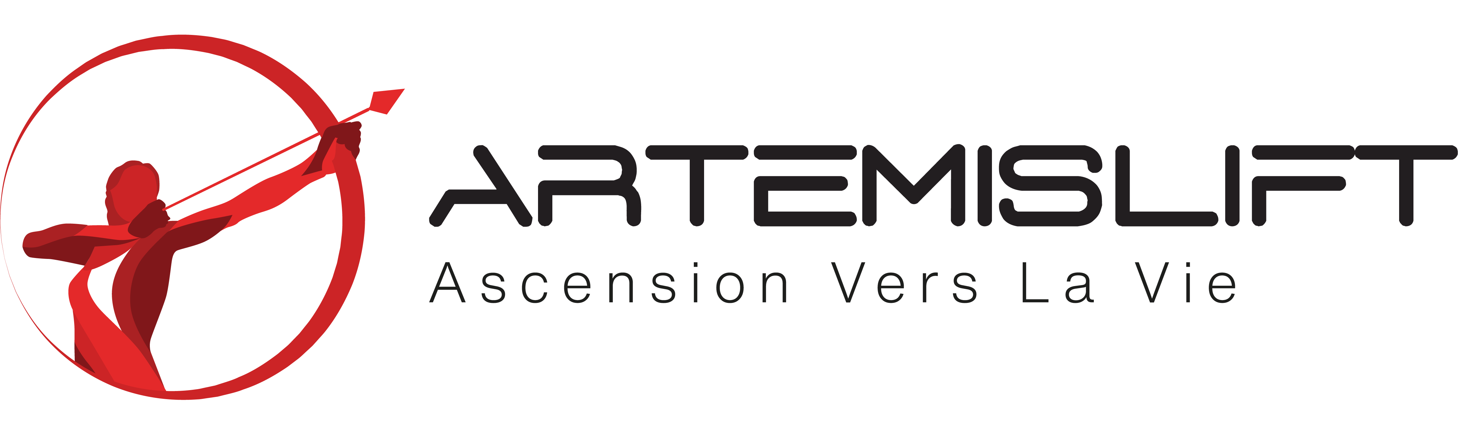 ARTEMISLIFT İçin Geliştirilen Entegre Yazılım Altyapısı